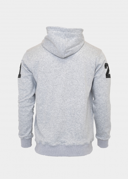 Hoodie "Eisblog" - grey